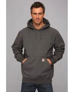 Carhartt Rain Defender Paxton Heavyweight Hooded Sweatshirt